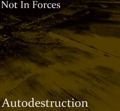 Autodestruction – Not In Forces (File, FLAC)