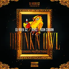 Azizz* – Drunkn Owl (Under Protection) (File, AAC)