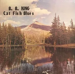B.B. King – Cat Fish Blues (Vinyl, LP)