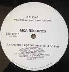 B.B. King – Lay Another Log On The Fire (Vinyl, 12")
