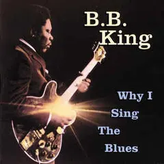 B.B. King MCA Special Products – Why I Sing The Blues (CD, Compilation)