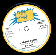 Baby Bertie – A Walking Miracle (Vinyl, 7")