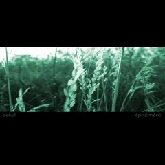 Baka! – Éphémère (CDr, Album)