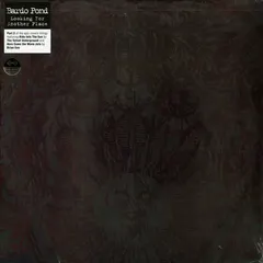 Bardo Pond – Looking For Another Place (Vinyl, LP)