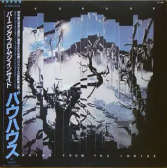 Bauhaus Virgin – Burning From The Inside (Vinyl, LP)