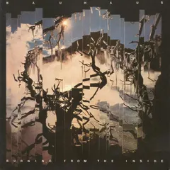 Bauhaus – Burning From The Inside (CD, Album)