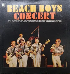 Beach Boys* – Concert (Vinyl, LP)