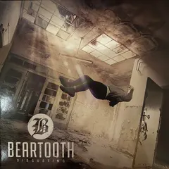 Beartooth – Disgusting (Vinyl, LP)
