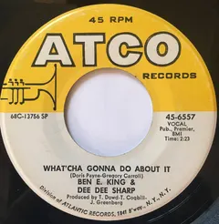 Ben E. King & Dee Dee Sharp – What’cha Gonna Do About It (Vinyl, 7")