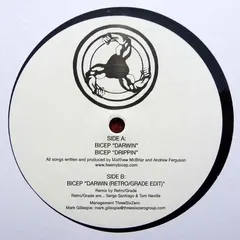 Bicep – Darwin (Vinyl, 12")
