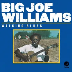 Big Joe Williams – Walking Blues (CD, Compilation)