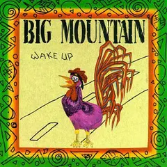 Big Mountain Quality – Wake Up (CD, Album)