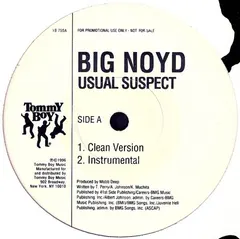 Big Noyd – Usual Suspect (Vinyl, 12")