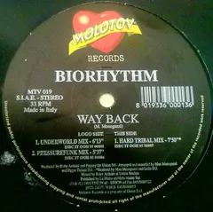 Biorhythm – Way Back (Vinyl, 12")