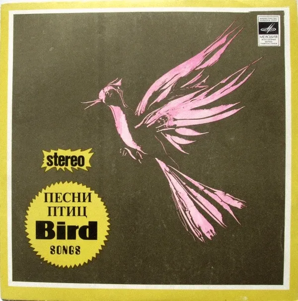 Предраг Кнежевич*, Ивана Стефанович*, Марьян Радойчич* – Песни Птиц - Bird Songs