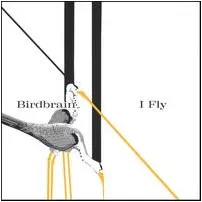 Birdbrain (4) – I Fly (CD, Album)