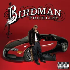 Birdman (2) – Pricele$$ (File, AAC)