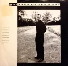 Black (2) – Everything's Coming Up Roses (Vinyl, 12")