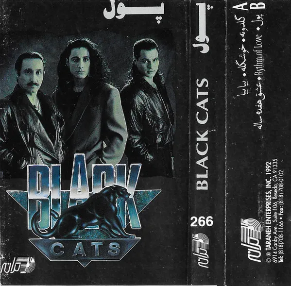 Black Cats (2) – پول