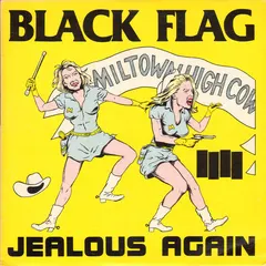 Black Flag – Jealous Again (Vinyl, 12")