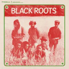 Black Roots – Black Roots (Vinyl, LP)