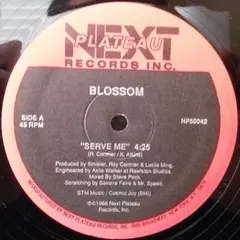 Blossom (2) – Serve Me (Vinyl, 12")