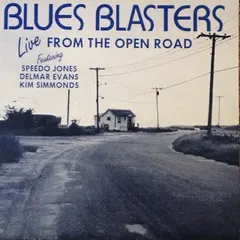 Blues Blasters – Live From The Open Road (Vinyl, LP)