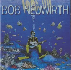 Bob Neuwirth – Look Up (CD, Album)