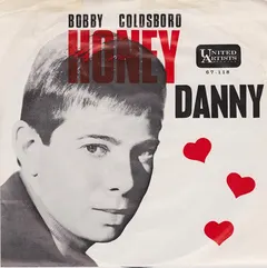 Bobby Goldsboro – Honey (Vinyl, 7")