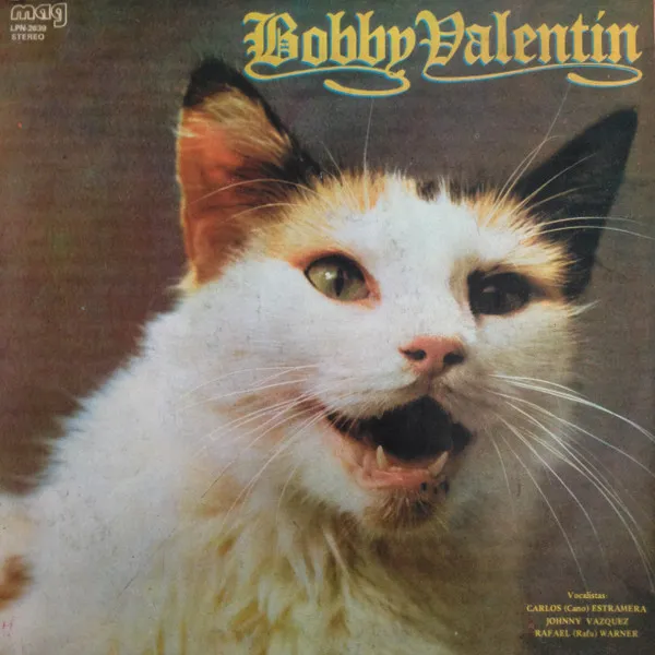 Bobby Valentin – Bobby Valentin