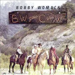 Bobby Womack – BW Goes C & W (Vinyl, LP)