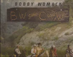 Bobby Womack United Artists Records – BW Goes C & W (Vinyl, LP)