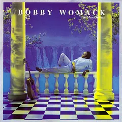 Bobby Womack – So Many Rivers (CD, Album)