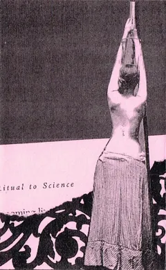 Bodystocking – Sheer Spidertouch (Cassette)