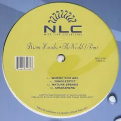 Brian Harden – The World Peace E.P. (Vinyl, 12")