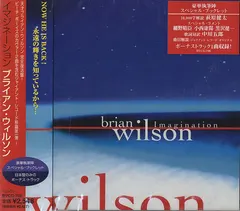 Brian Wilson – Imagination (CD, Album)