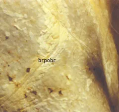 brpobr – brpobr (CD, Album)