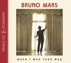 Bruno Mars – When I Was Your Man (CD, Single)