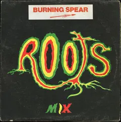 Burning Spear – Institution (Vinyl, 12")