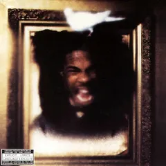 Busta Rhymes – The Coming (CD, Album)