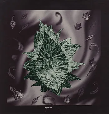 Butterfly Child – Eucalyptus