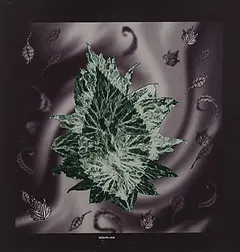 Butterfly Child – Eucalyptus (Vinyl, 12")