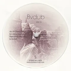 Bvdub – A Silent Reign (Vinyl, 12")