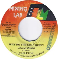 Capleton, Leego – Why Do The Eden Reign (Special Remix) / Wicked E (Vinyl, 7")