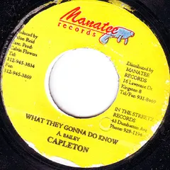 Capleton – What They Gonna Do Know (Vinyl, 7")