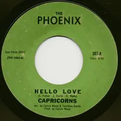 Capricorns (3) – Hello Love (Vinyl, 7")