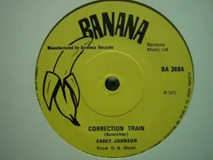 Carey Johnson – Correction Train (Vinyl, 7")