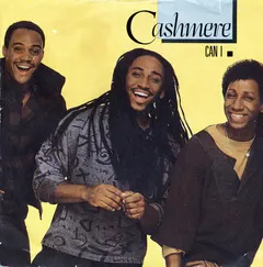 Cashmere (2) – Can I (Vinyl, 7")