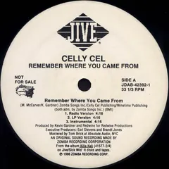 Celly Cel – Remember Where You Came From (Vinyl, 12")