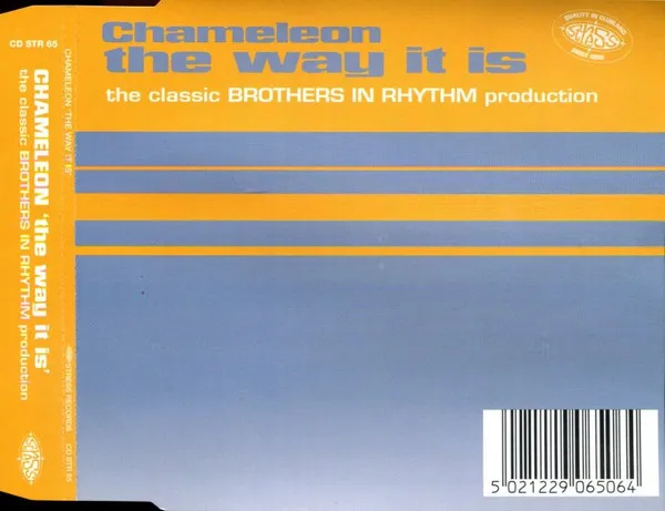 Chameleon (2) – The Way It Is